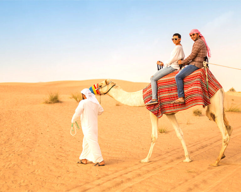 camel-safari