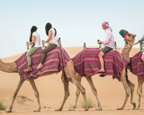 guest riding the camel