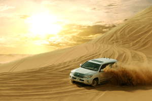 Dune Bashing in Morning Safari