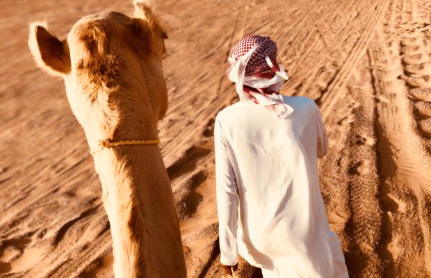 camel ride dubai
